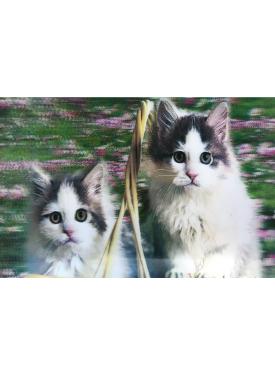 5D Elmas Boyama Sevimli Kediler İkili Kedi Resmi Tablosu 40x60 cm