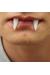 Beyaz Renk Takma Vampir Dişi Korku Dişleri 2 li