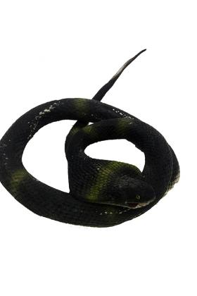 Siyah Renk Yassı Kafa Yumuşak Gerçekçi Kobra Yılan 95 cm