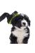 Süpürgeye Takılan Kedi Köpek Tarama - Tüy Alma Fırçası