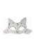Dantelli Kedi Maskesi Beyaz Renk Yetişkin
